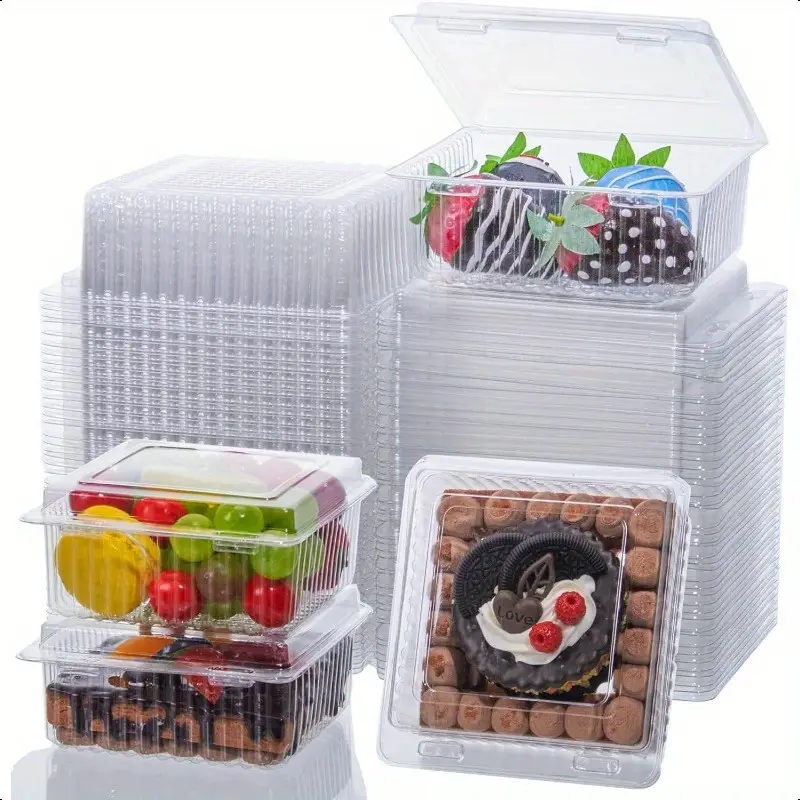 10 Pack Disposable Baking Cake - Outdoor Camping Box 리뷰 및 가격