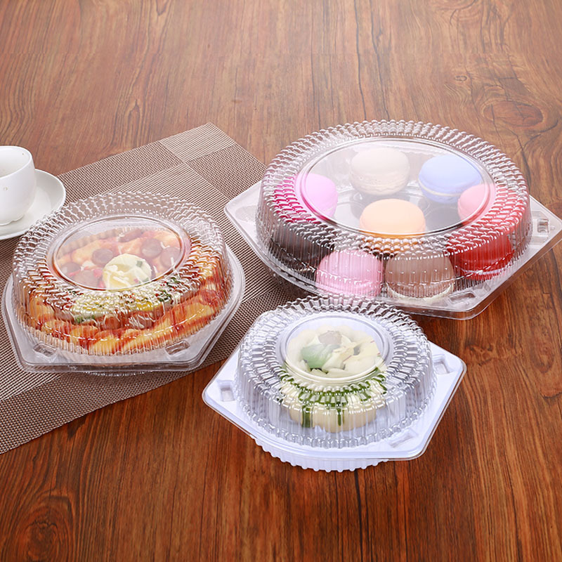 10 Pack Disposable Baking Cake - Outdoor Camping Box 리뷰 및 가격