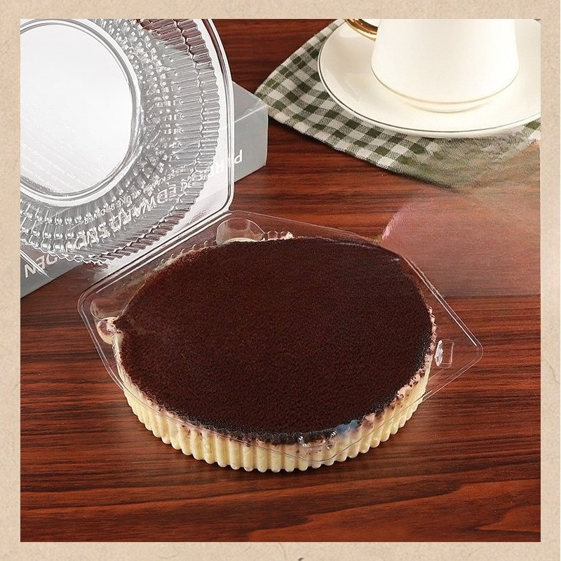 10 Pack Disposable Baking Cake - Outdoor Camping Box 리뷰 및 가격