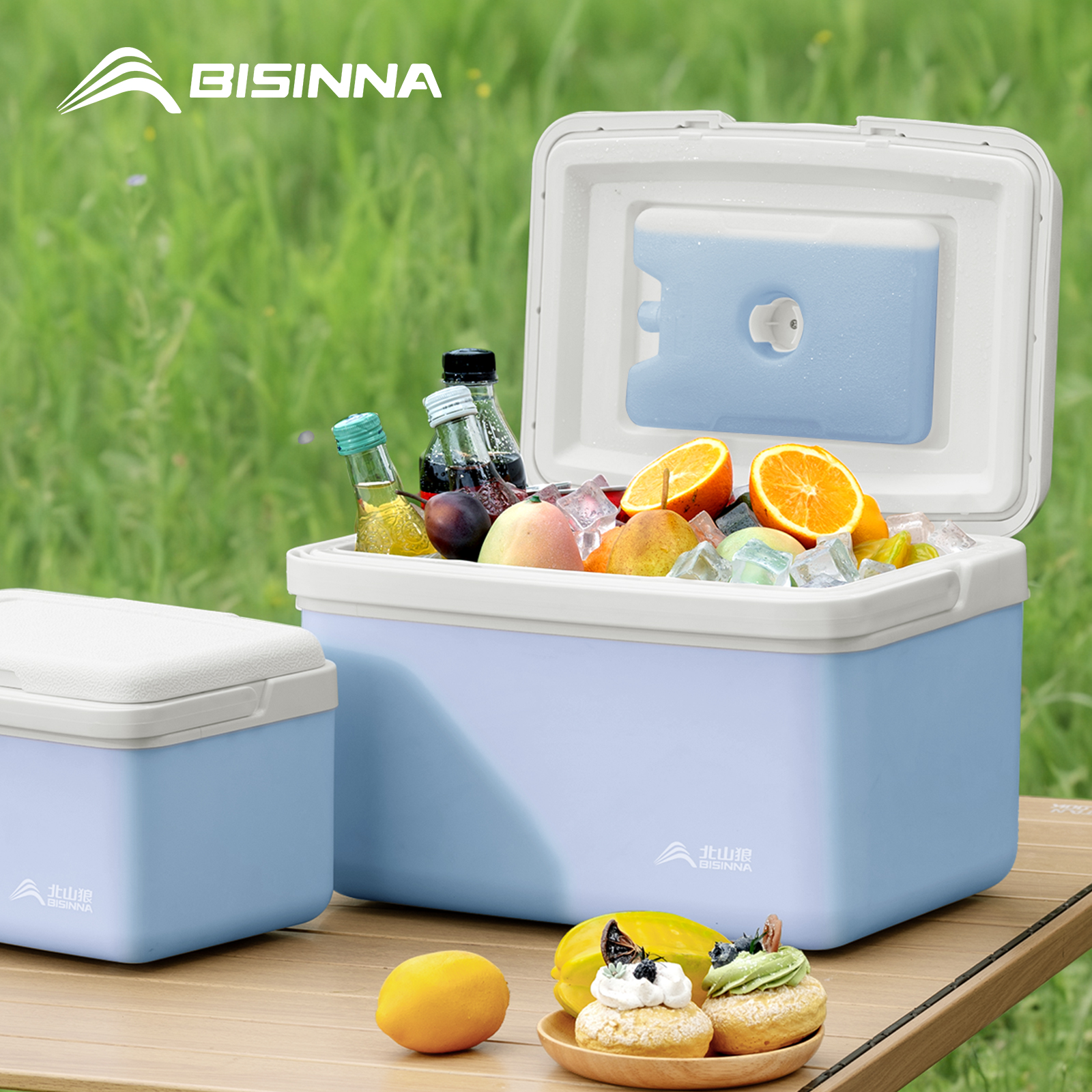 BISINNA Camping Ice Box 6L/9L/ - Outdoor Camping Fridge 리뷰 및 가격