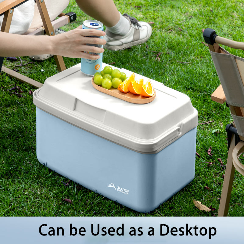 BISINNA Camping Ice Box 6L/9L/ - Outdoor Camping Fridge 리뷰 및 가격
