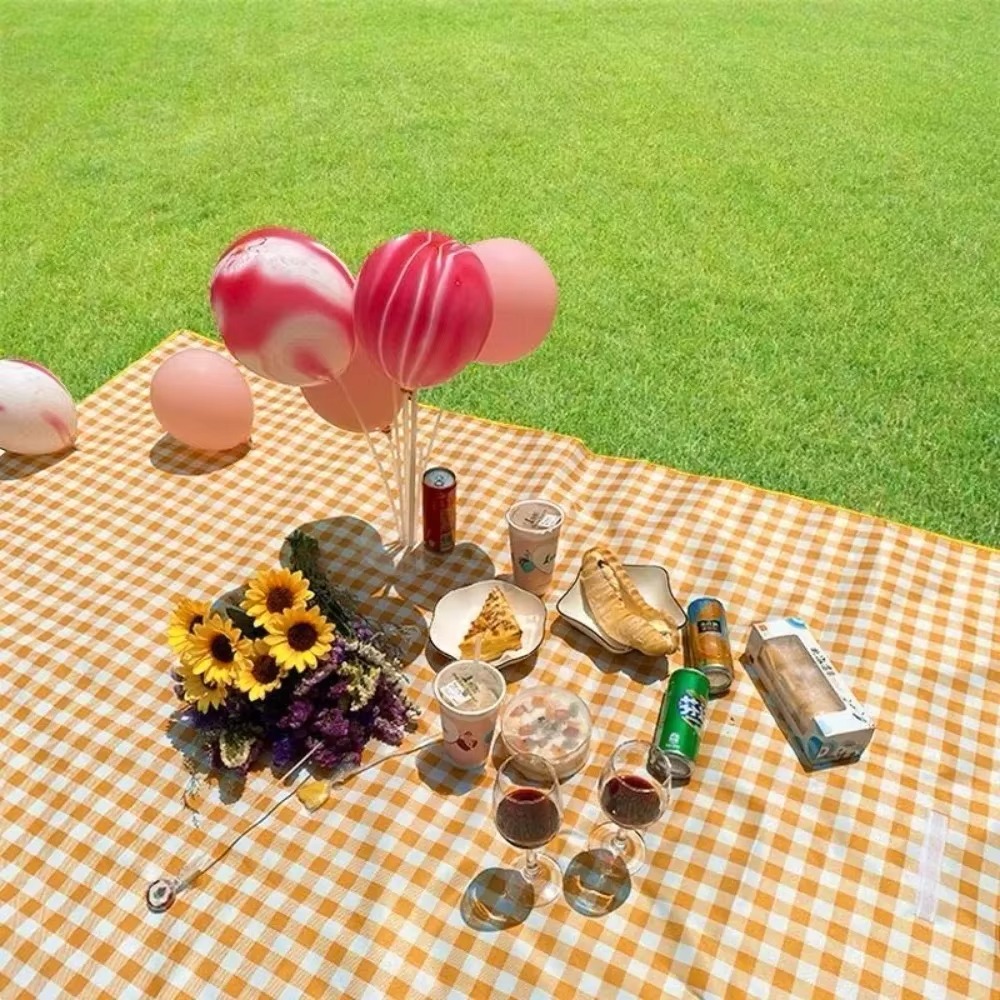 Outdoor Picnic Mat Thickened E - Outdoor Camping Heated Blanket 리뷰 및 가격