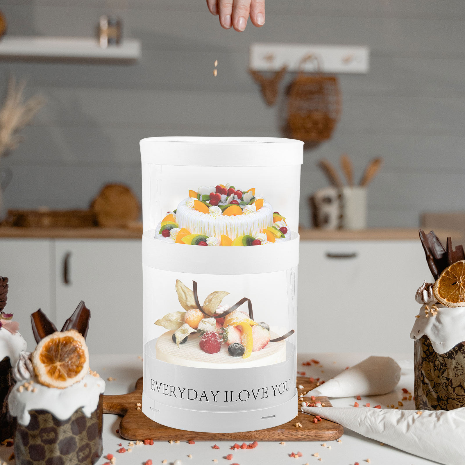 Premium Clear Cake Box Portabl - Outdoor Camping Box 리뷰 및 가격