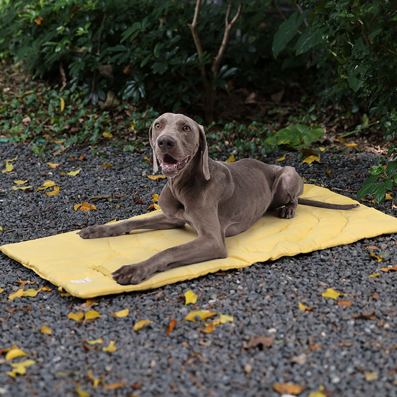Portable Pet Mat Foldable Pet  - Outdoor Camping Dog Kennel 리뷰 및 가격
