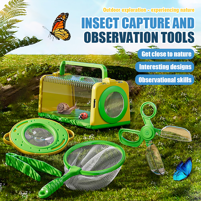Insect Capture Cage Observatio - Outdoor Camping Box 리뷰 및 가격