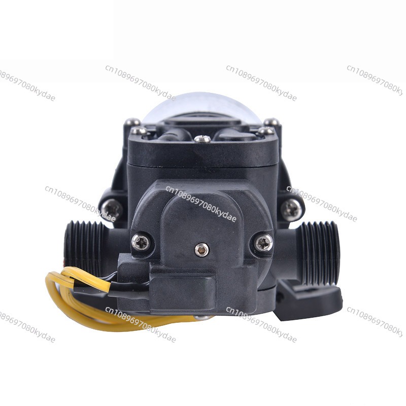 Portable LPG Water Heater - 12 - Outdoor Camping Hot Water Shower 리뷰 및 가격