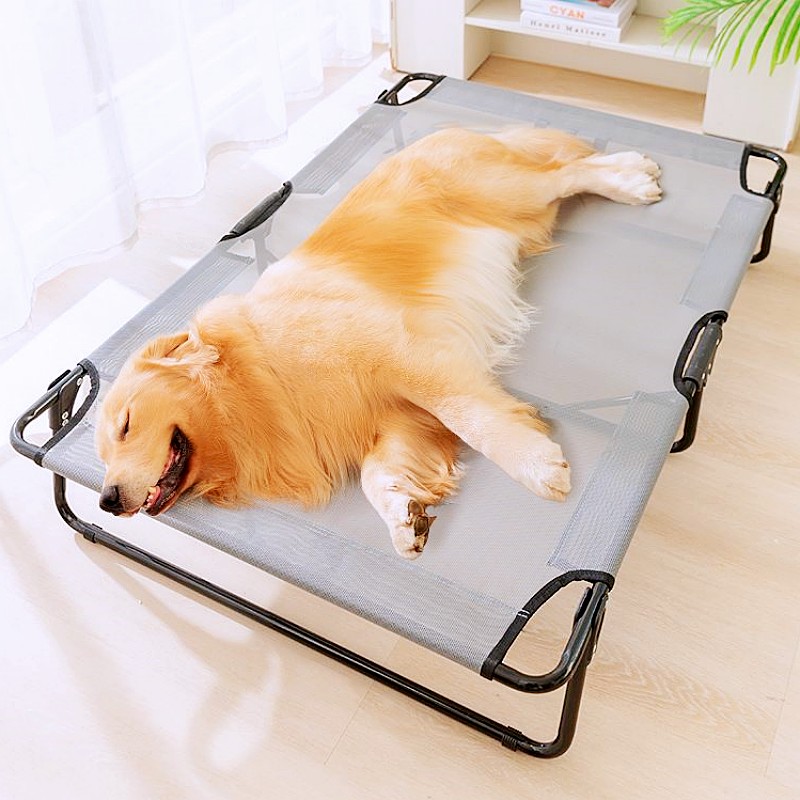 Dog Bed Foldable Dogs Beds Mat - Outdoor Camping Dog Kennel 리뷰 및 가격