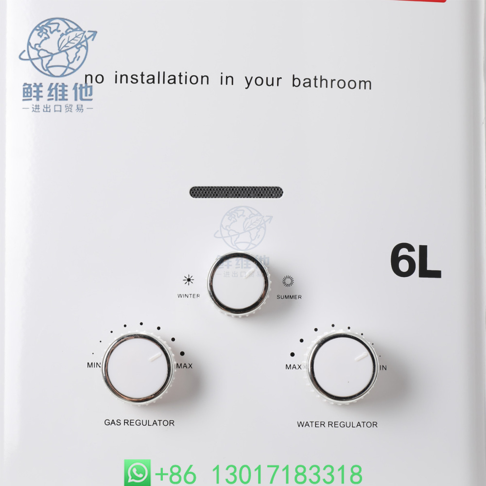6L 12KW Stainless Steel Instan - Outdoor Camping Hot Water Shower 리뷰 및 가격