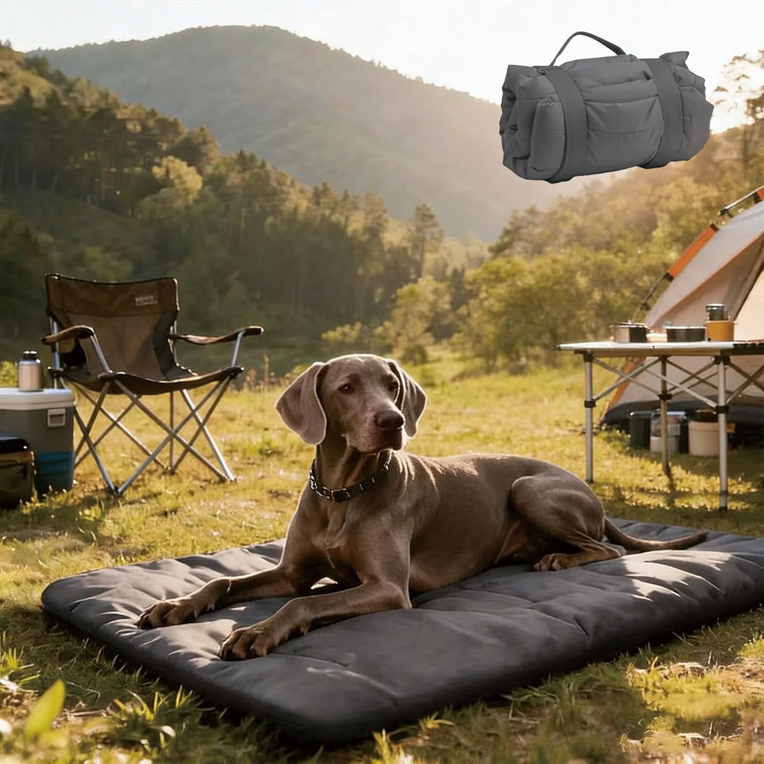 Outdoor Travel Dog Bed Mat Lar - Outdoor Camping Dog Kennel 리뷰 및 가격