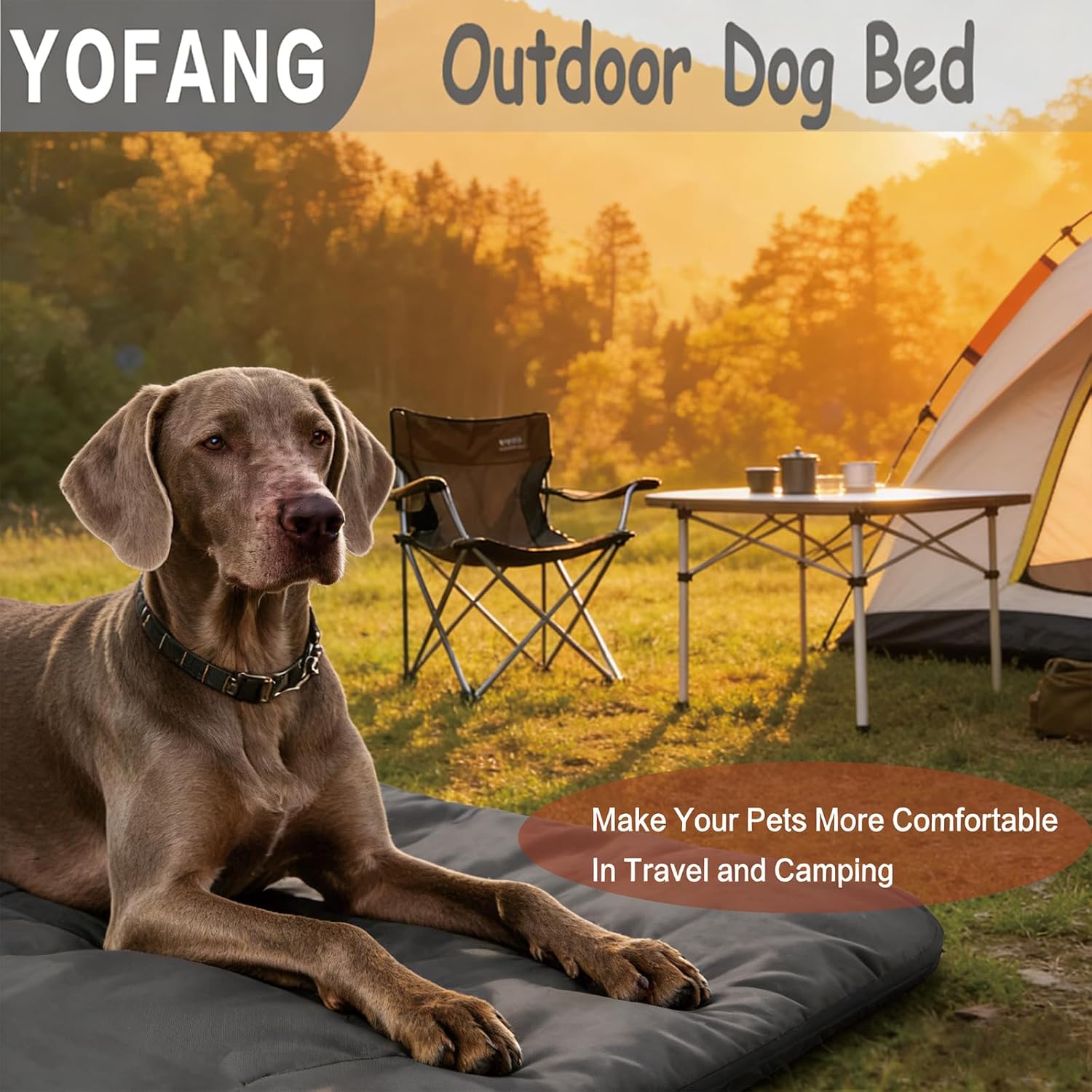 Outdoor Travel Dog Bed Mat Lar - Outdoor Camping Dog Kennel 리뷰 및 가격