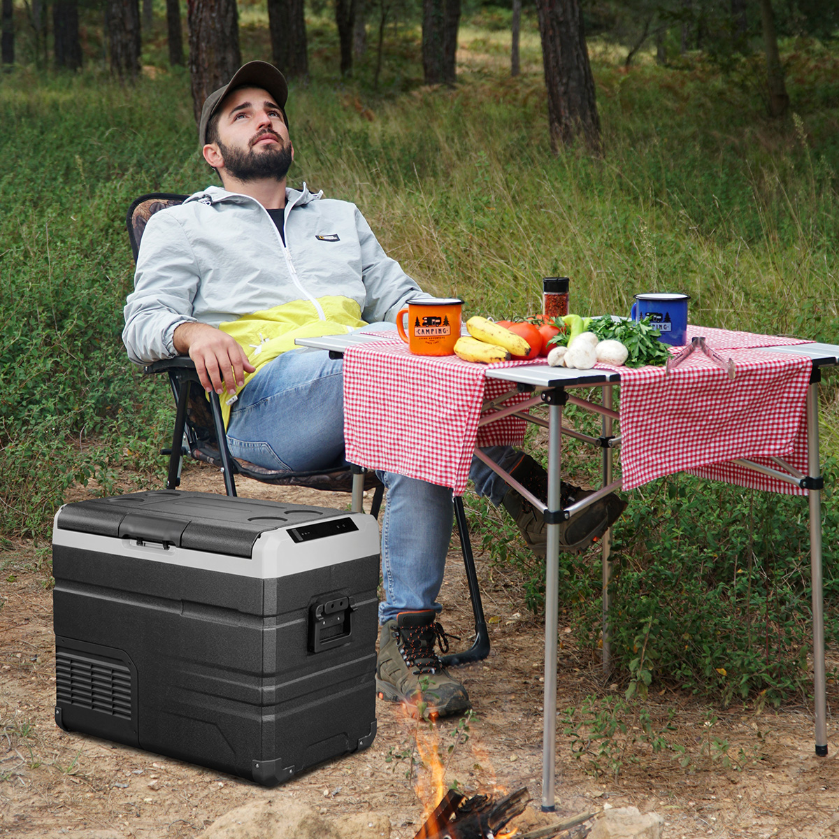 TW35 12v Compressor Car Fridge - Outdoor Camping Fridge 리뷰 및 가격